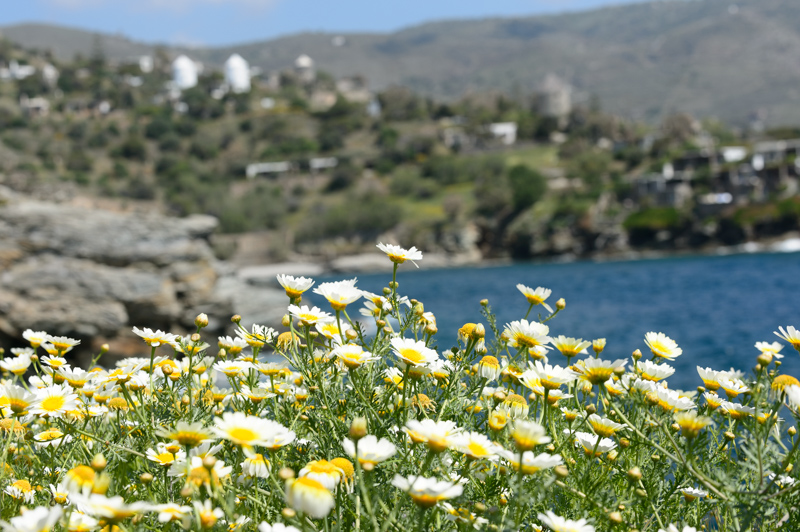 Nature île de Kea en Grèce