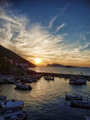 Le port de Hydra Le port de Hydra